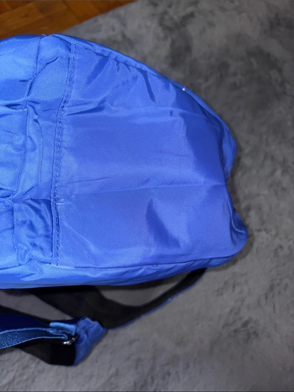 Baggallini Royal Blue Nylon Daypack Backpack (Read Description)